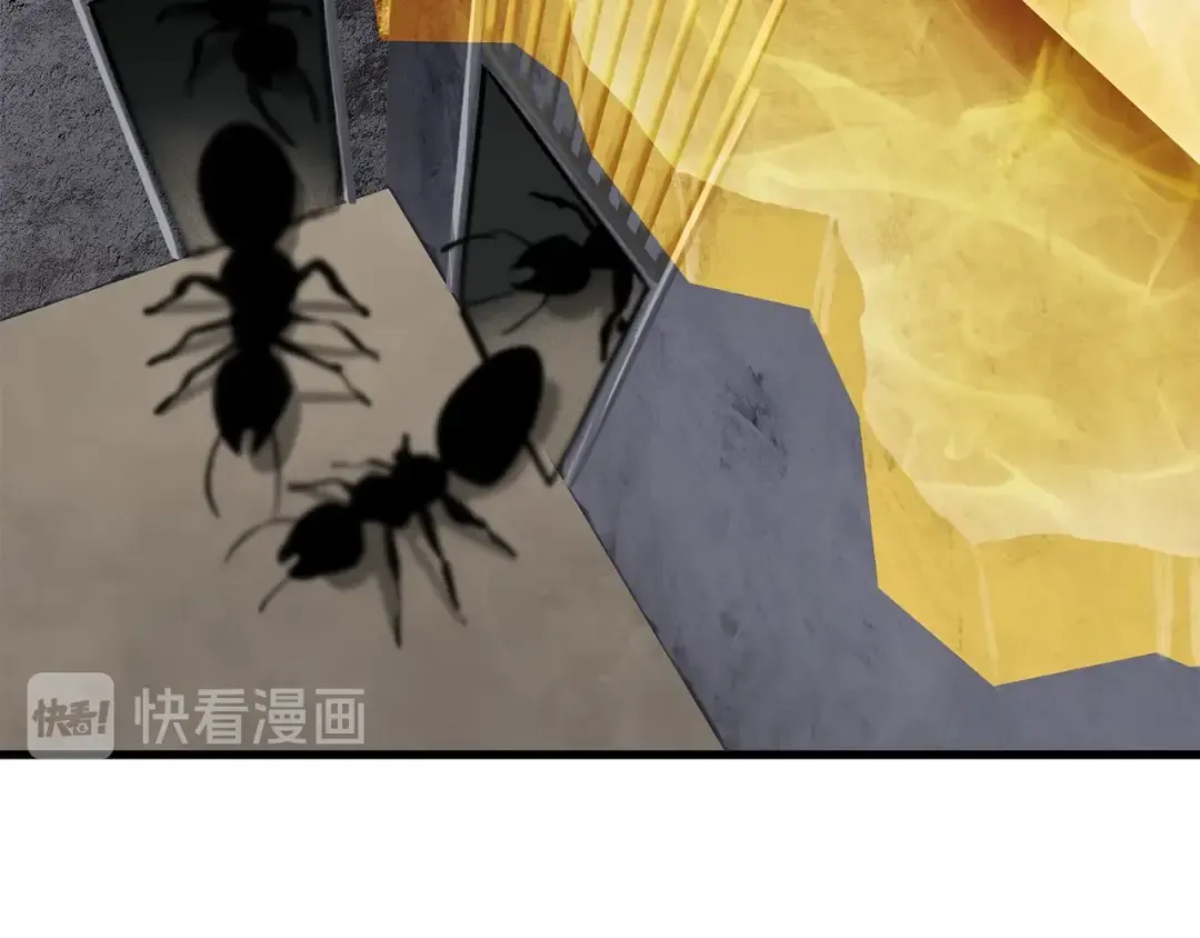 第55话 战端开启 第162页