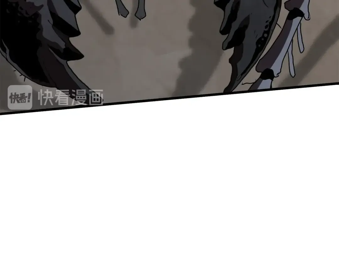 第55话 战端开启 第295页