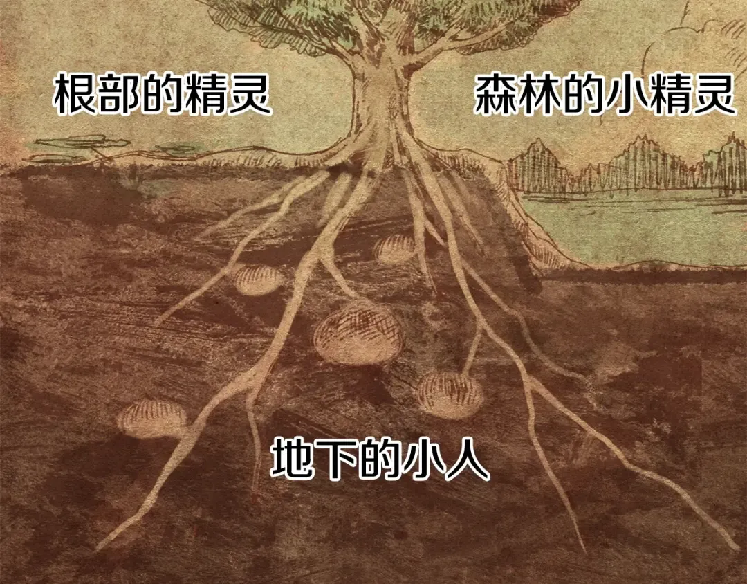 第73话 妖精王国 第33页