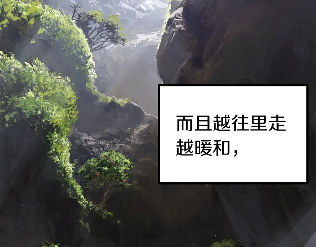 第164话 死去的幻象龙 第3页