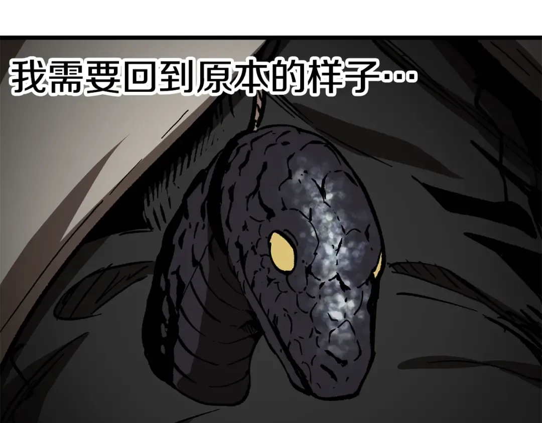第164话 死去的幻象龙 第209页
