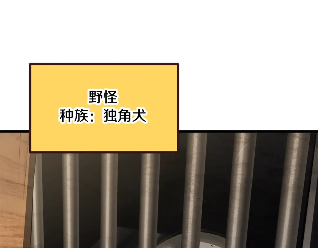 第190话 接近圣母教 第211页