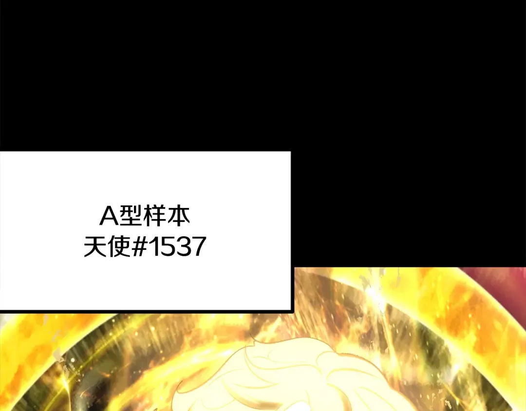 第211话 新的任务 第45页