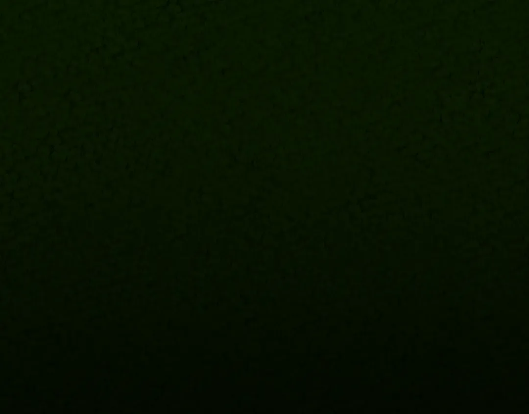 第253话 大开杀戒 第261页