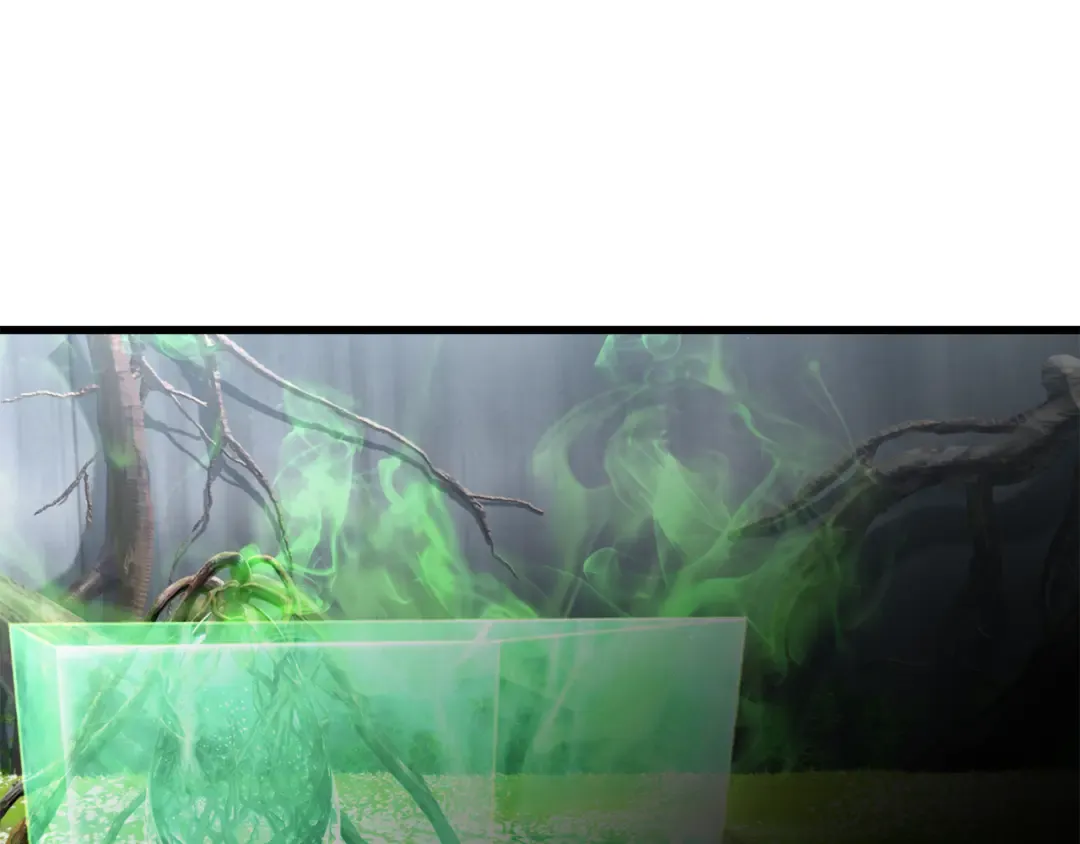 第254话 各方厮杀 第5页