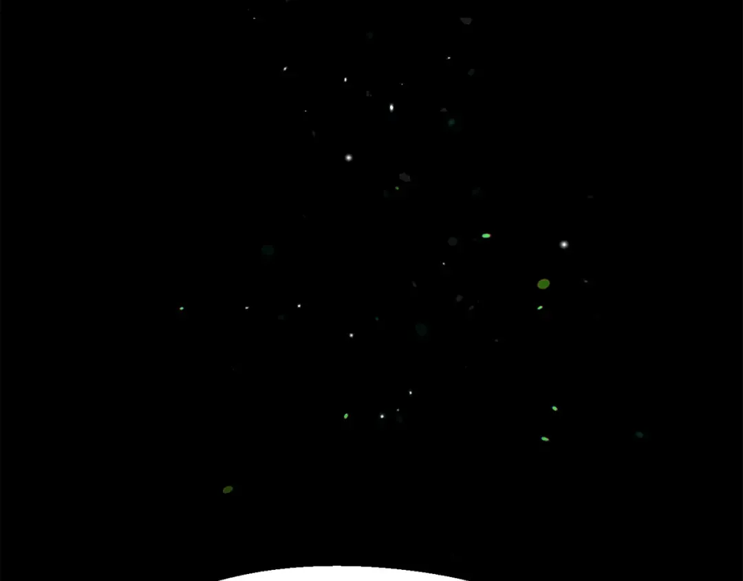 第266话 她的故事 第63页
