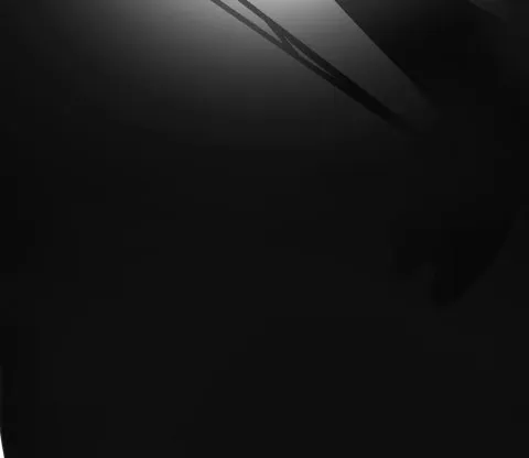 不速之客？ 第4页