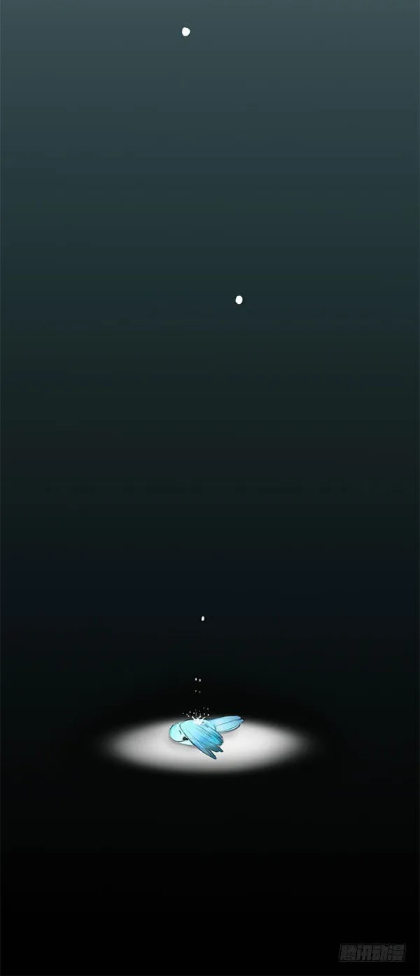 青鸟 第77页
