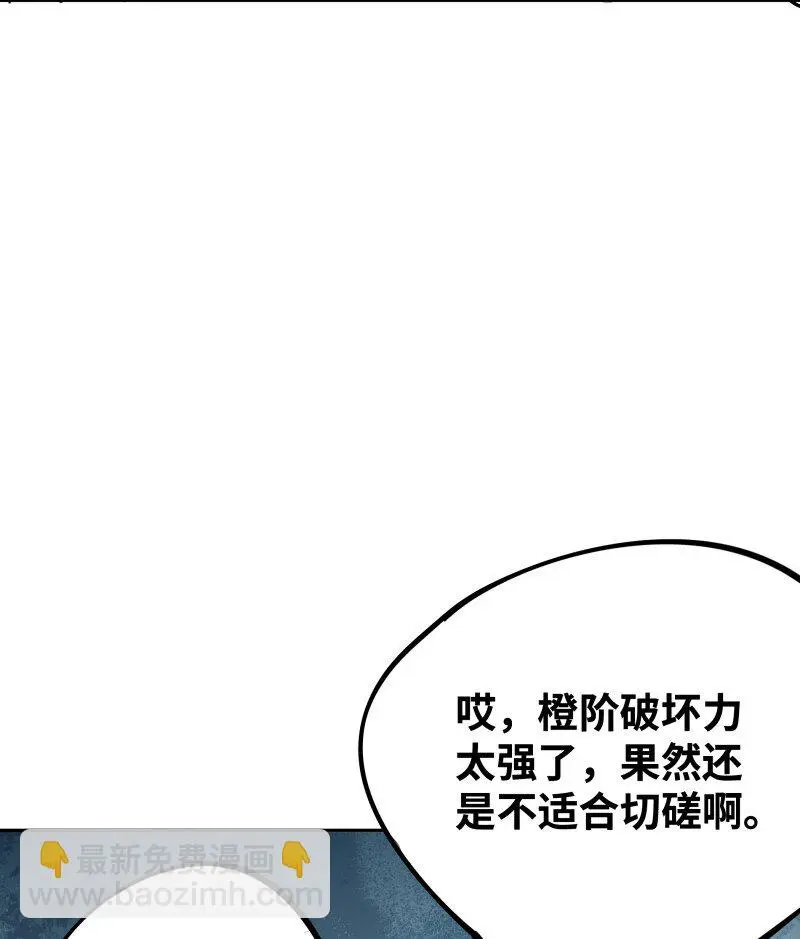 043 危机 第45页
