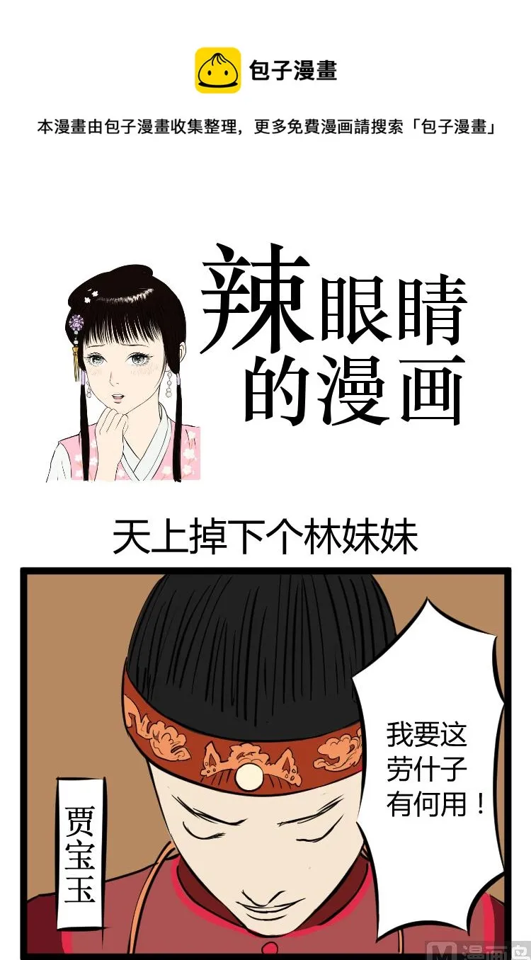 天上掉下个林妹妹 第1页