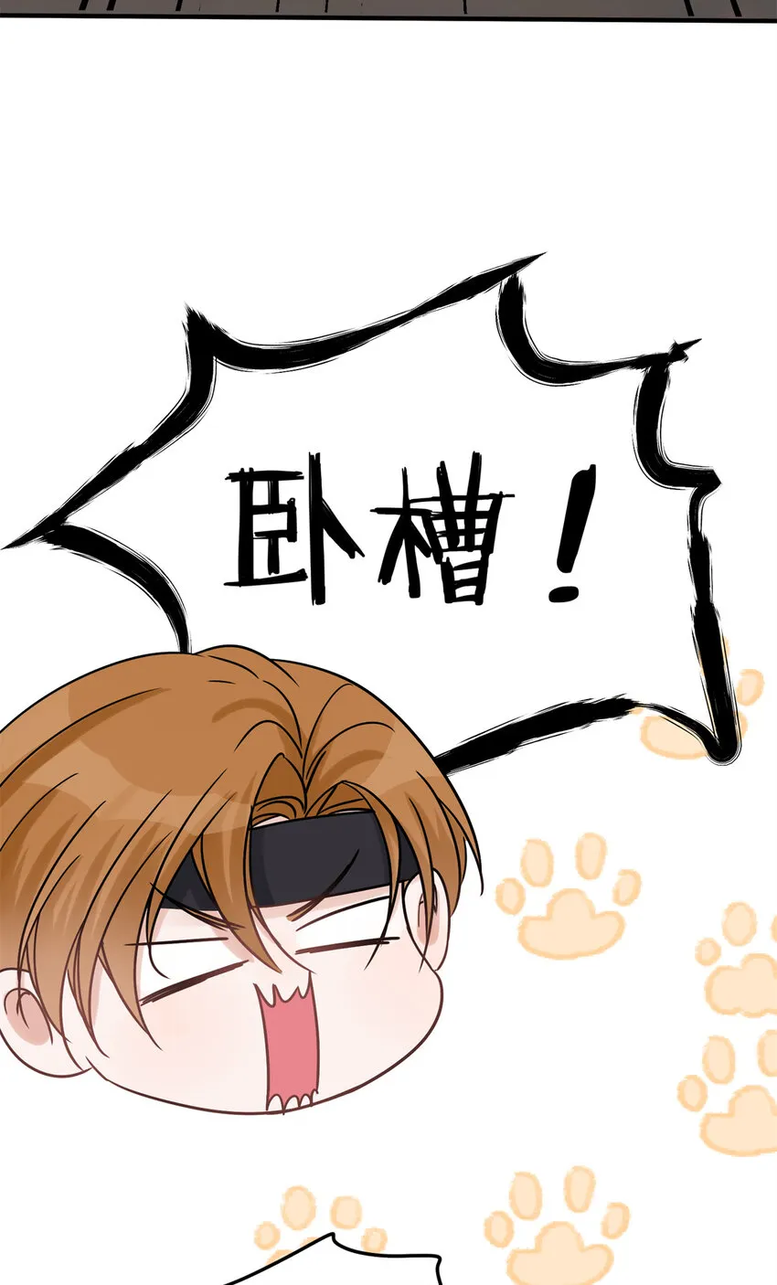 06 06 第14页