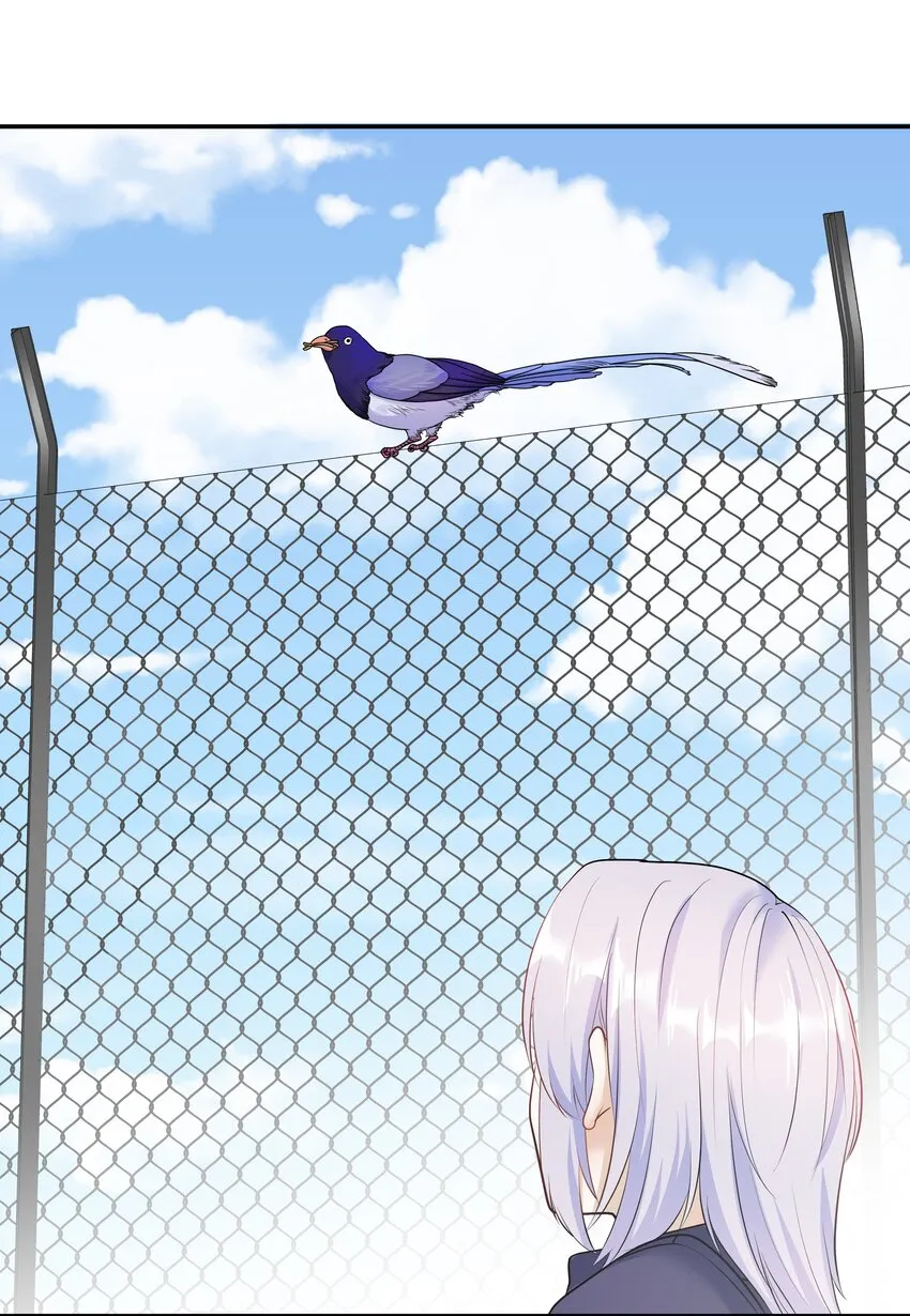 Chap.26 不是爸爸，是伯劳鸟 第6页
