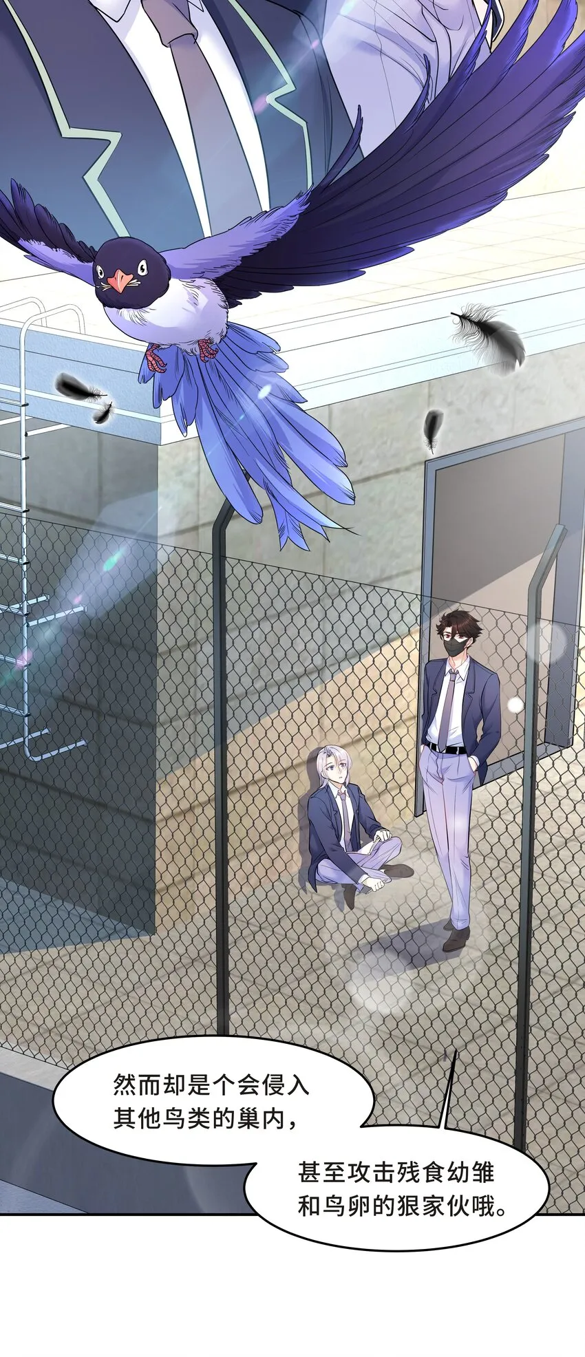 Chap.26 不是爸爸，是伯劳鸟 第8页