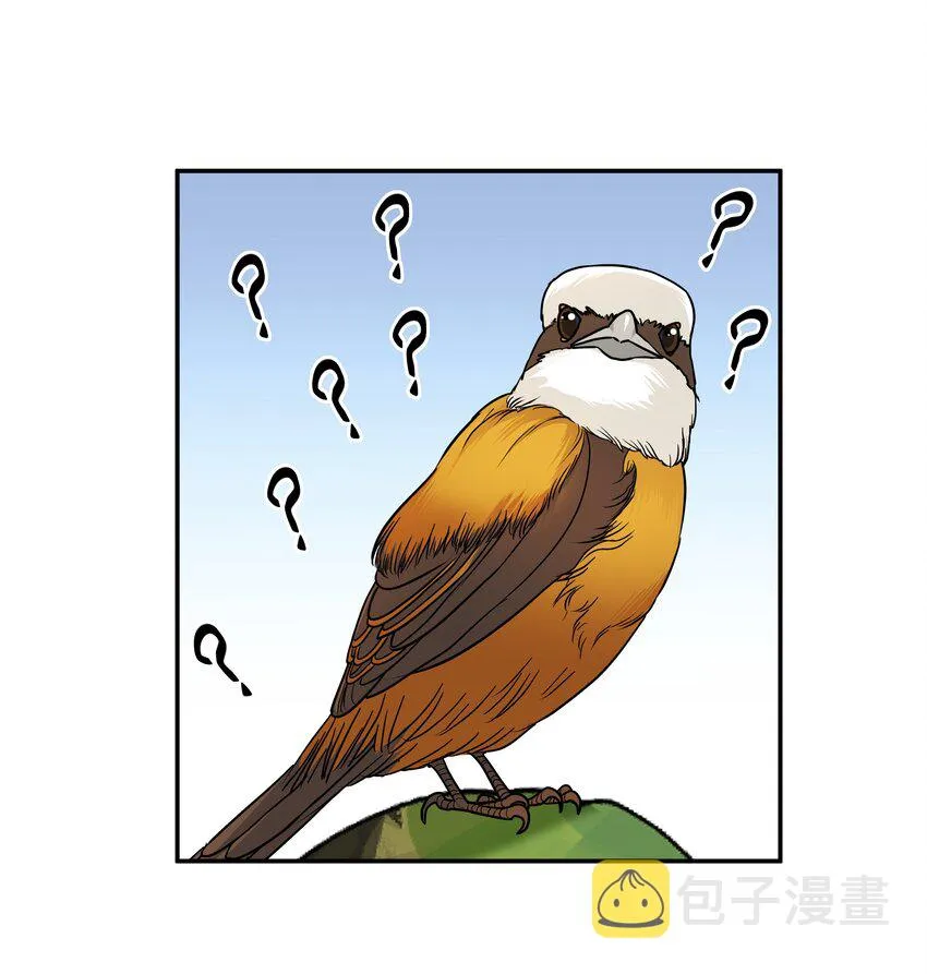 Chap.26 不是爸爸，是伯劳鸟 第28页
