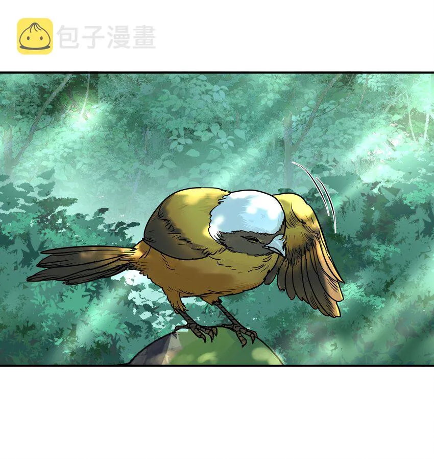 Chap.26 不是爸爸，是伯劳鸟 第29页