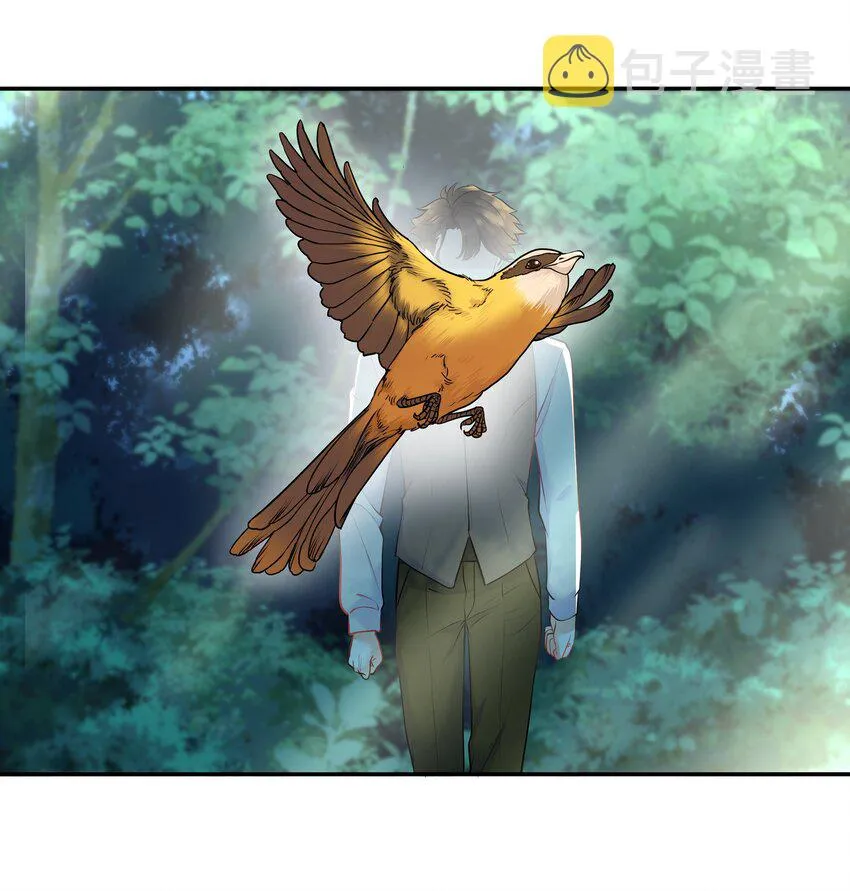 Chap.26 不是爸爸，是伯劳鸟 第33页
