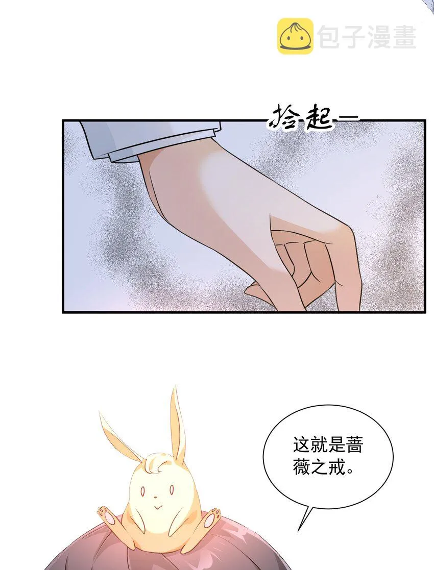 057 蔷薇之戒 第25页