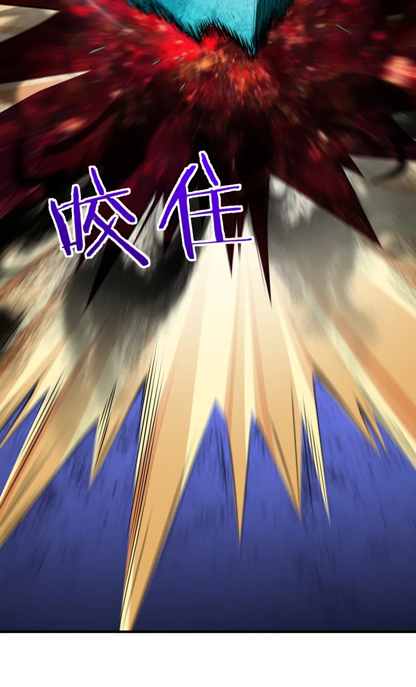 041 佩特拉 第68页