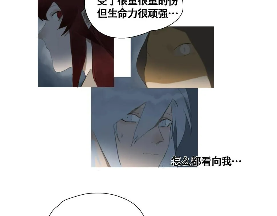 悯人的划分 第47页