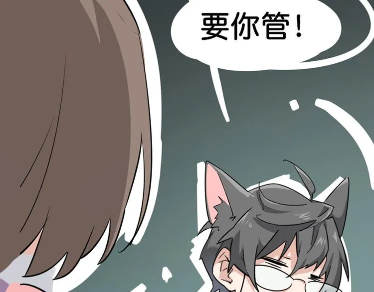 第七话如何区分流浪猫与走失家猫 第22页