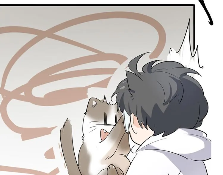 第七话如何区分流浪猫与走失家猫 第61页