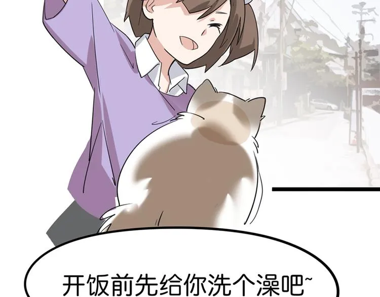 第七话如何区分流浪猫与走失家猫 第99页