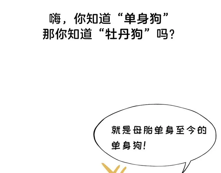 四格1 2.4亿单身狗的来源 第3页