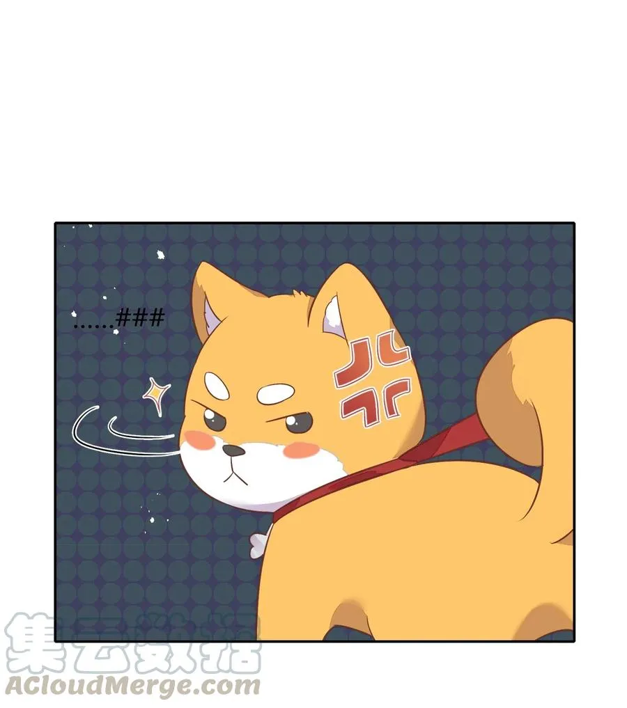 057 柴柴跑丢了？！ 第43页