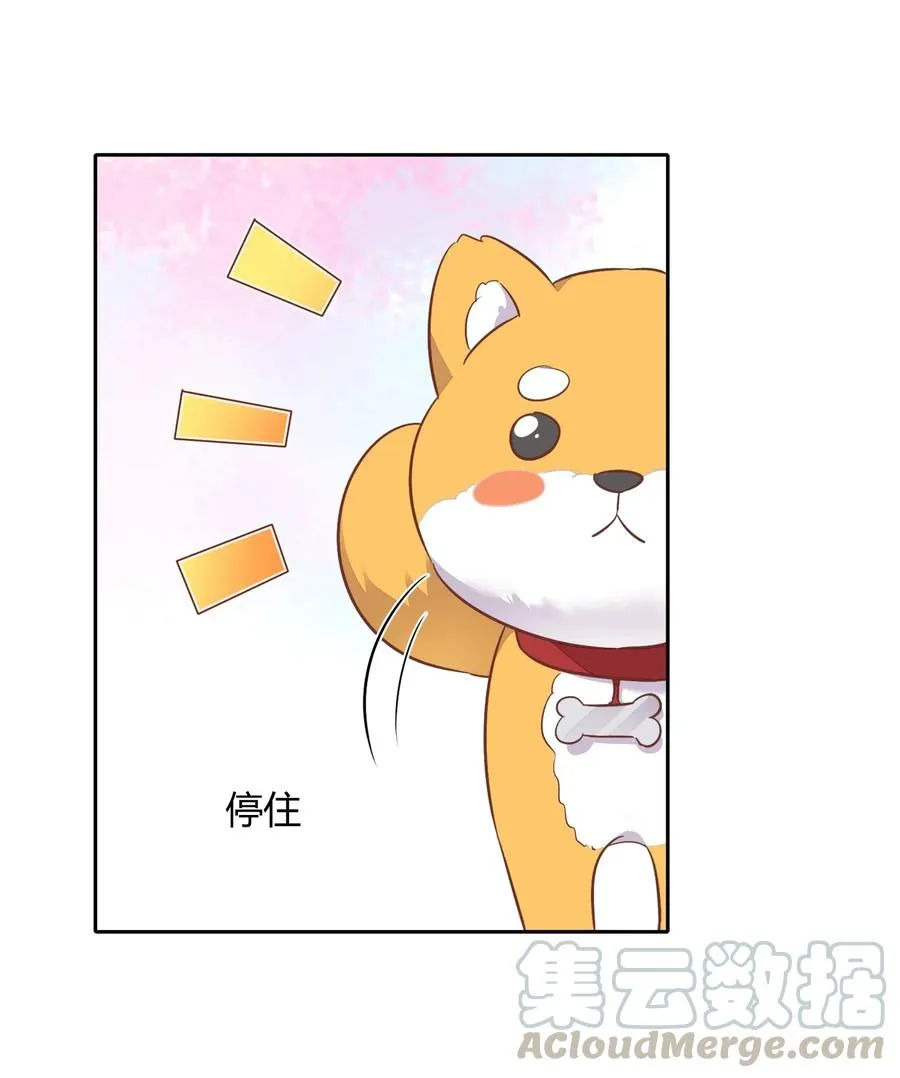 057 柴柴跑丢了？！ 第46页
