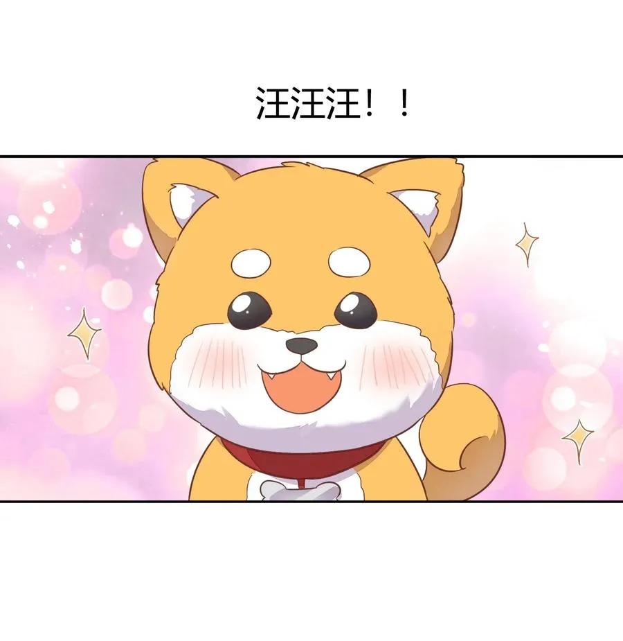057 柴柴跑丢了？！ 第48页