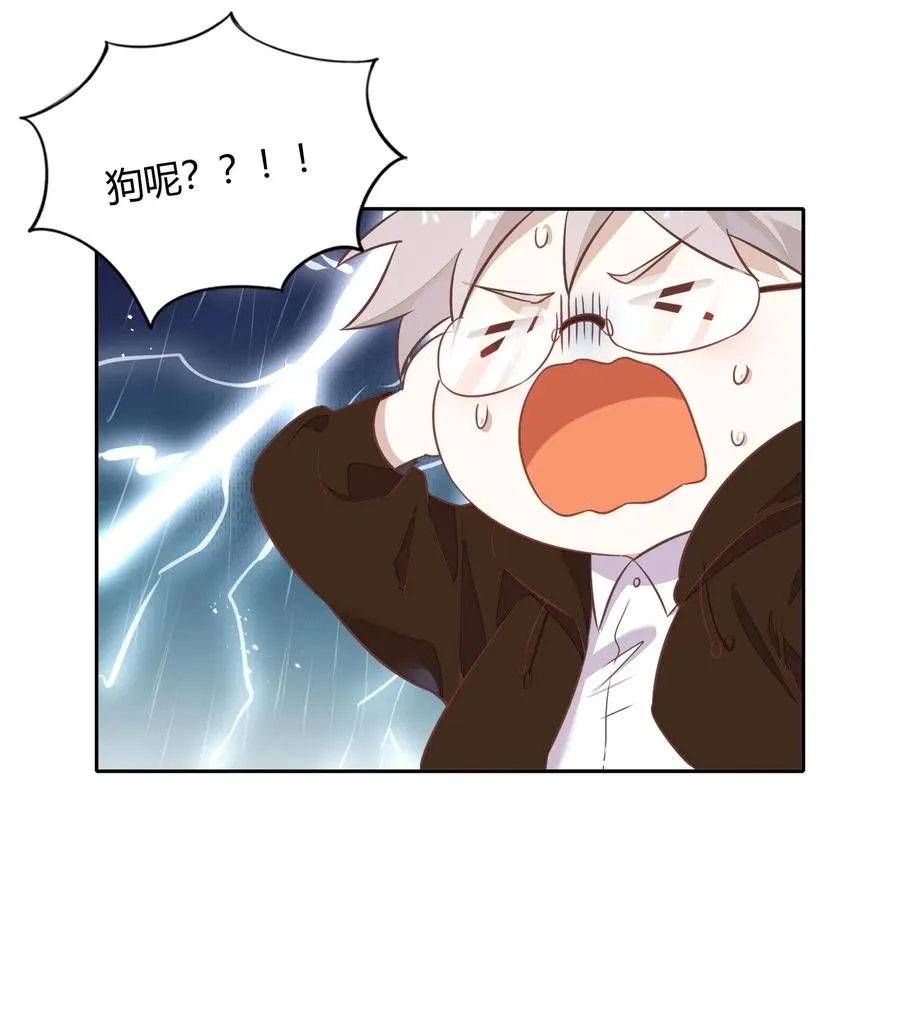 057 柴柴跑丢了？！ 第51页