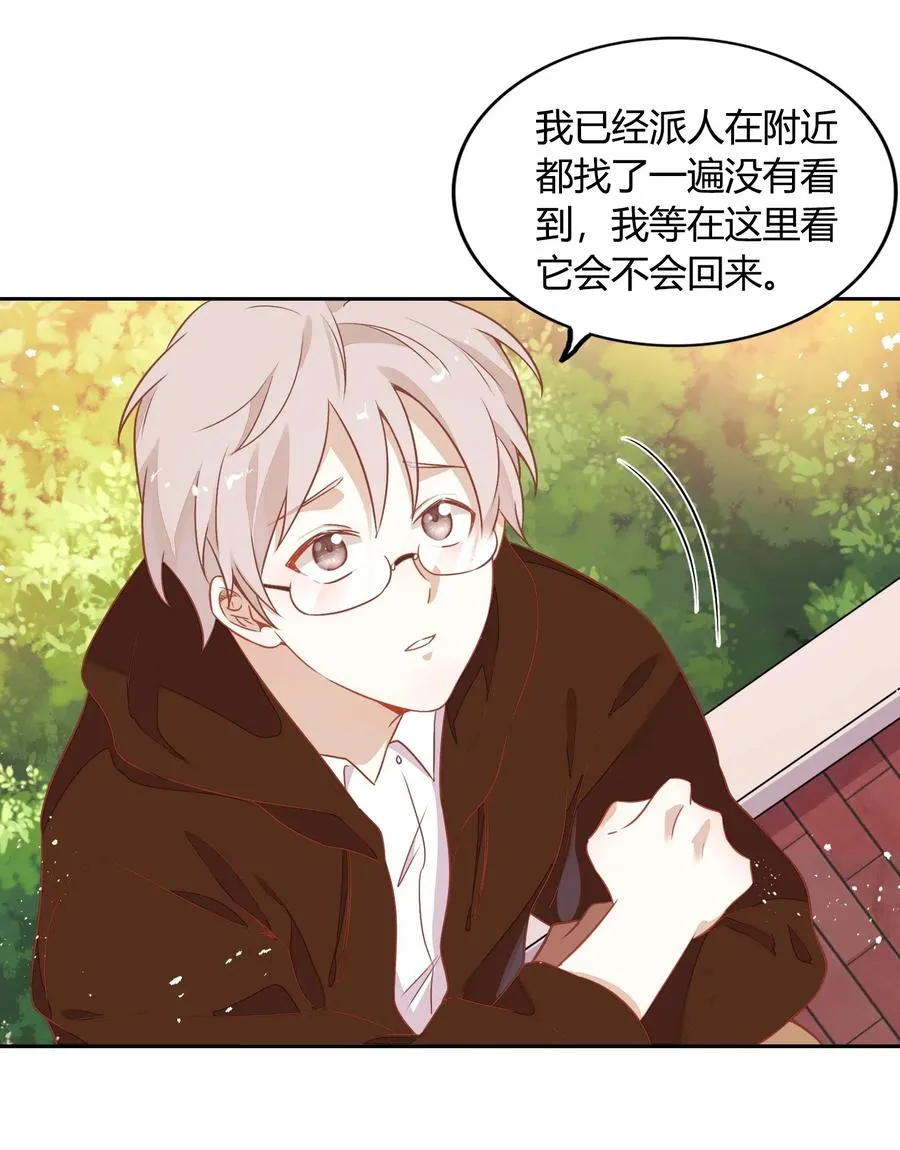 057 柴柴跑丢了？！ 第57页