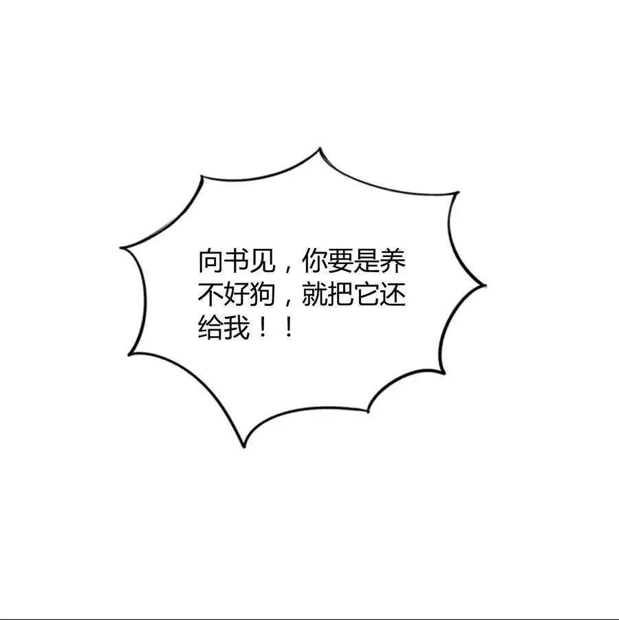 057 柴柴跑丢了？！ 第63页