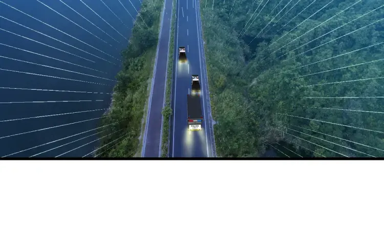 第19章 螳螂捕蝉黄雀在后 第5页