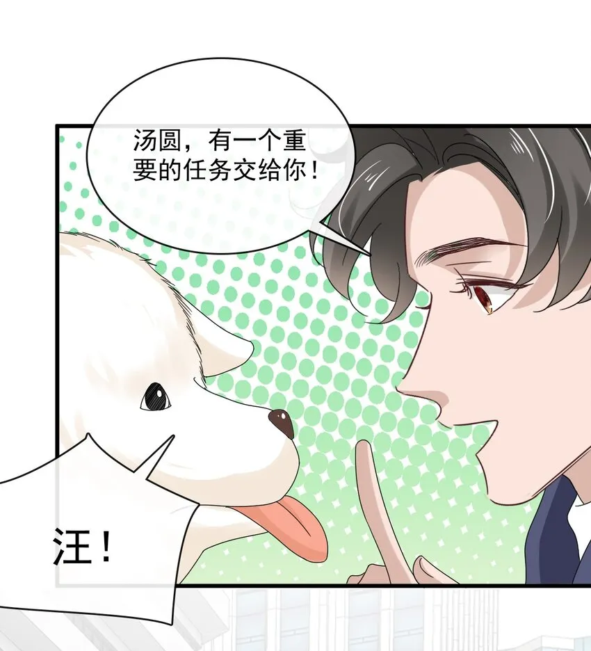 057 第五十七话 接风洗尘 第12页
