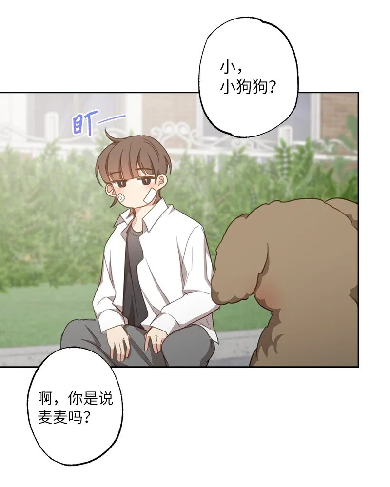 51 想要靠近一点 第3页