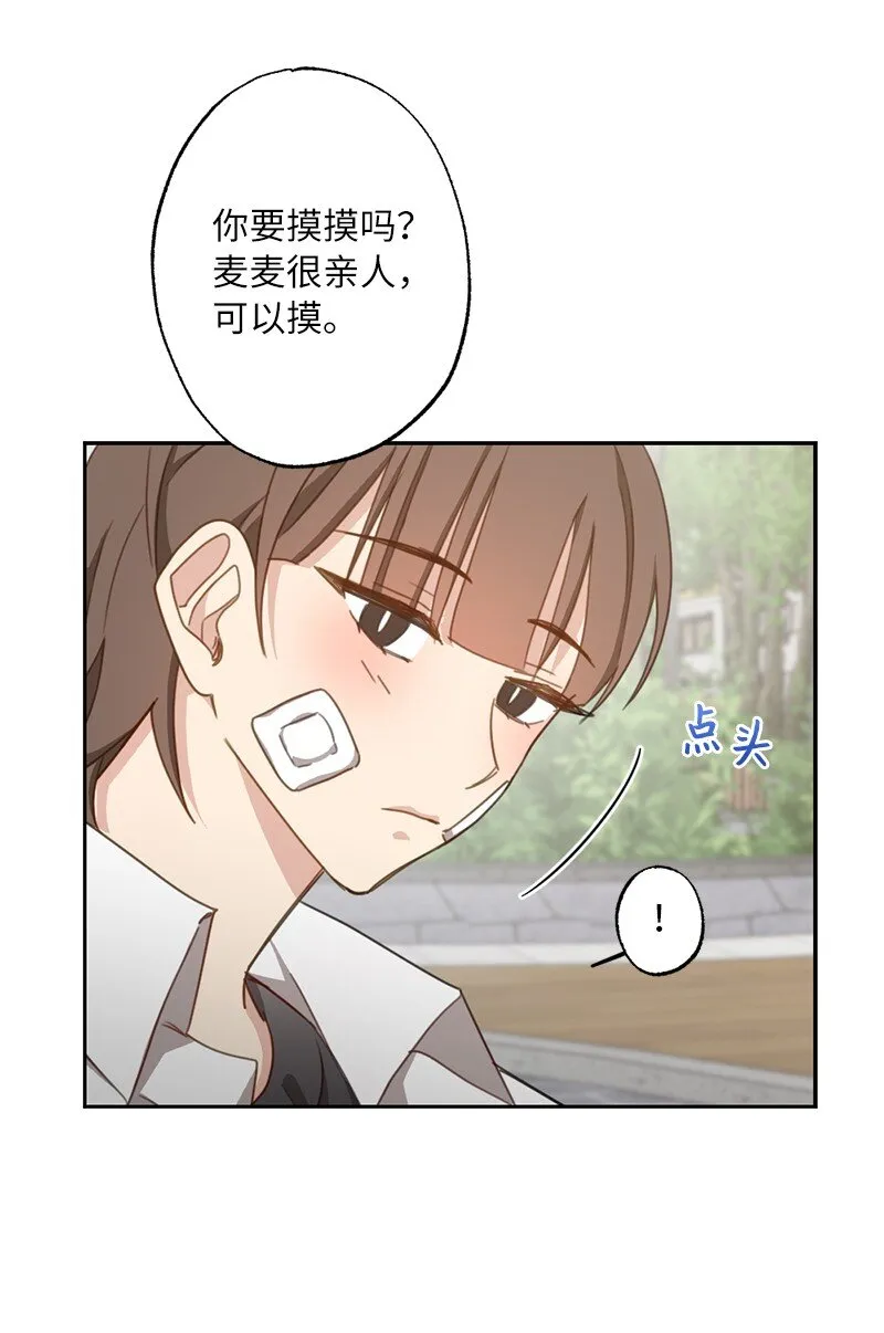 51 想要靠近一点 第5页