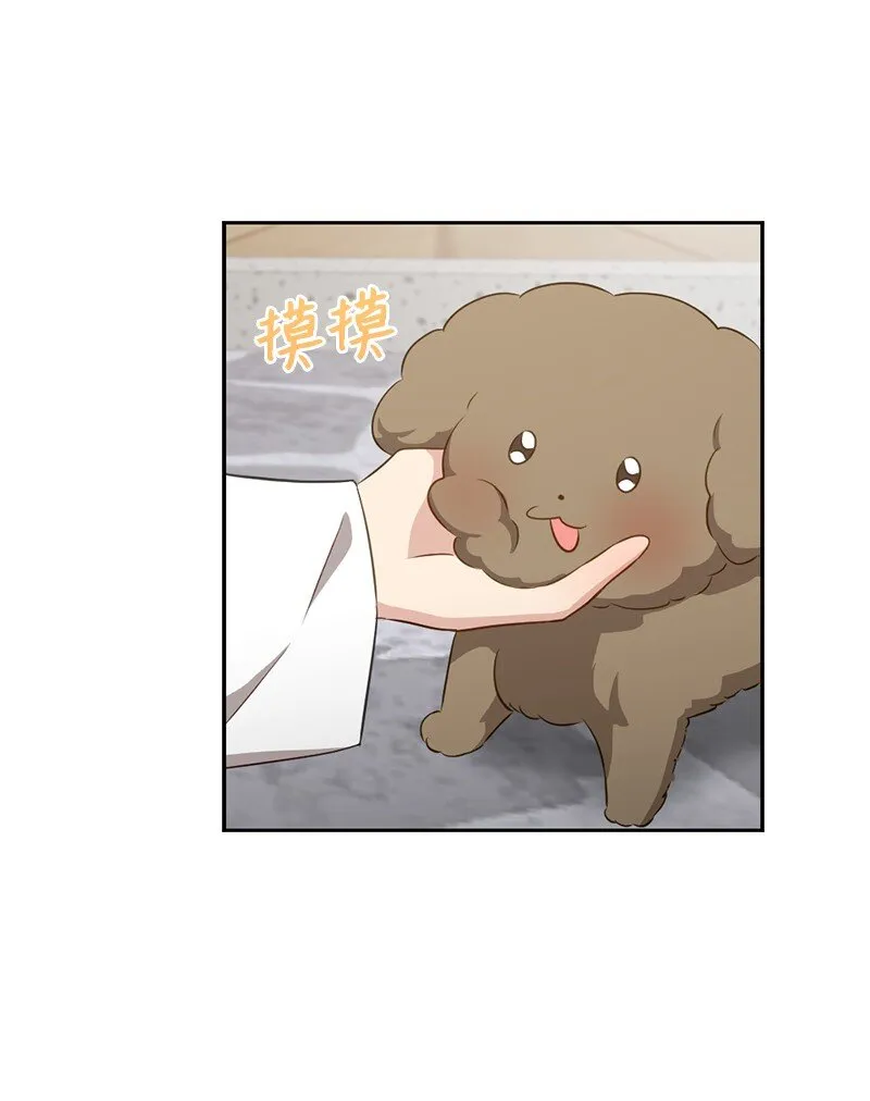 51 想要靠近一点 第6页