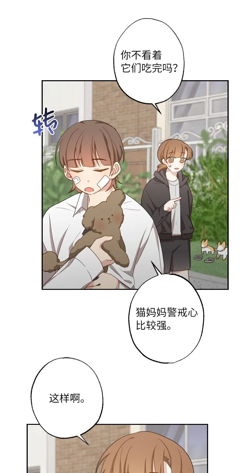 51 想要靠近一点 第12页