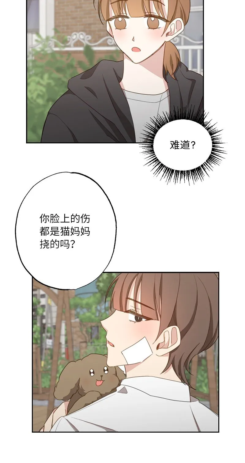 51 想要靠近一点 第13页