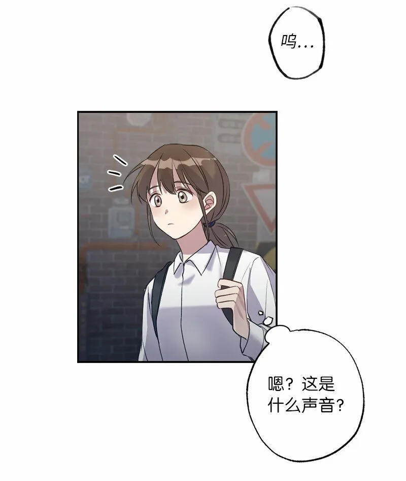 56 普通的朋友 第49页