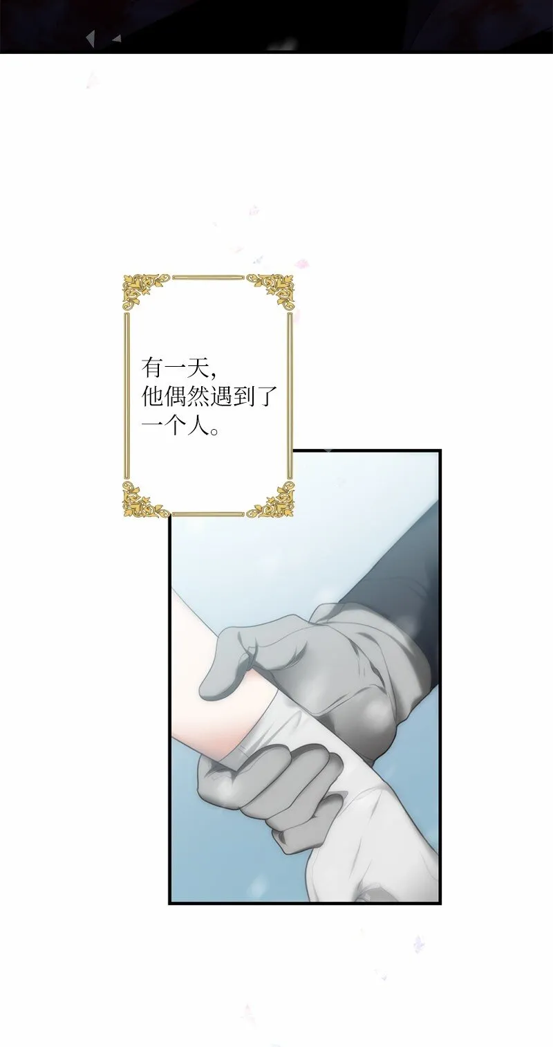 41 闪光的人们 第3页