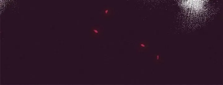 第15话 不给你 第18页