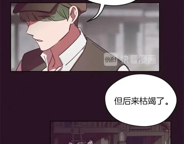 第19话 我手中的剑 第39页