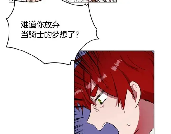 第39话 骑士梦想 第19页