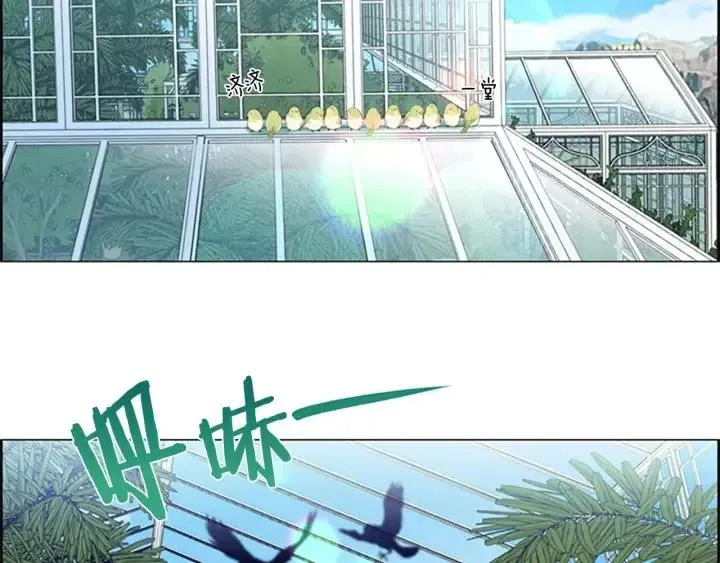 第64话 近距离见面 第5页