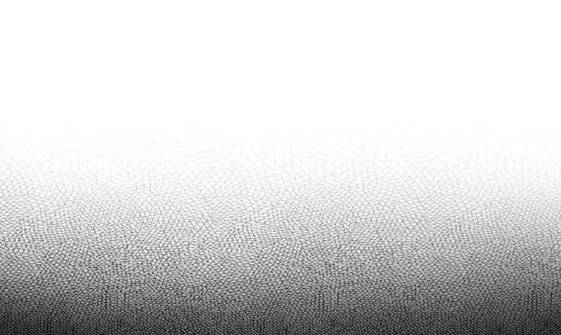 第11话 生日宴会 第5页