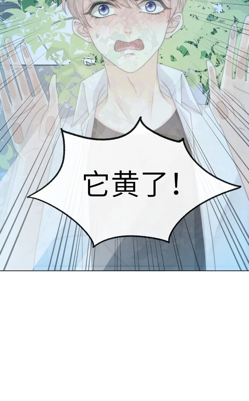 004 它黄了 第51页
