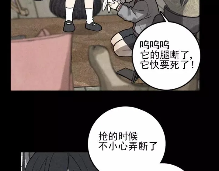 第91话 断了腿的兔子 第67页