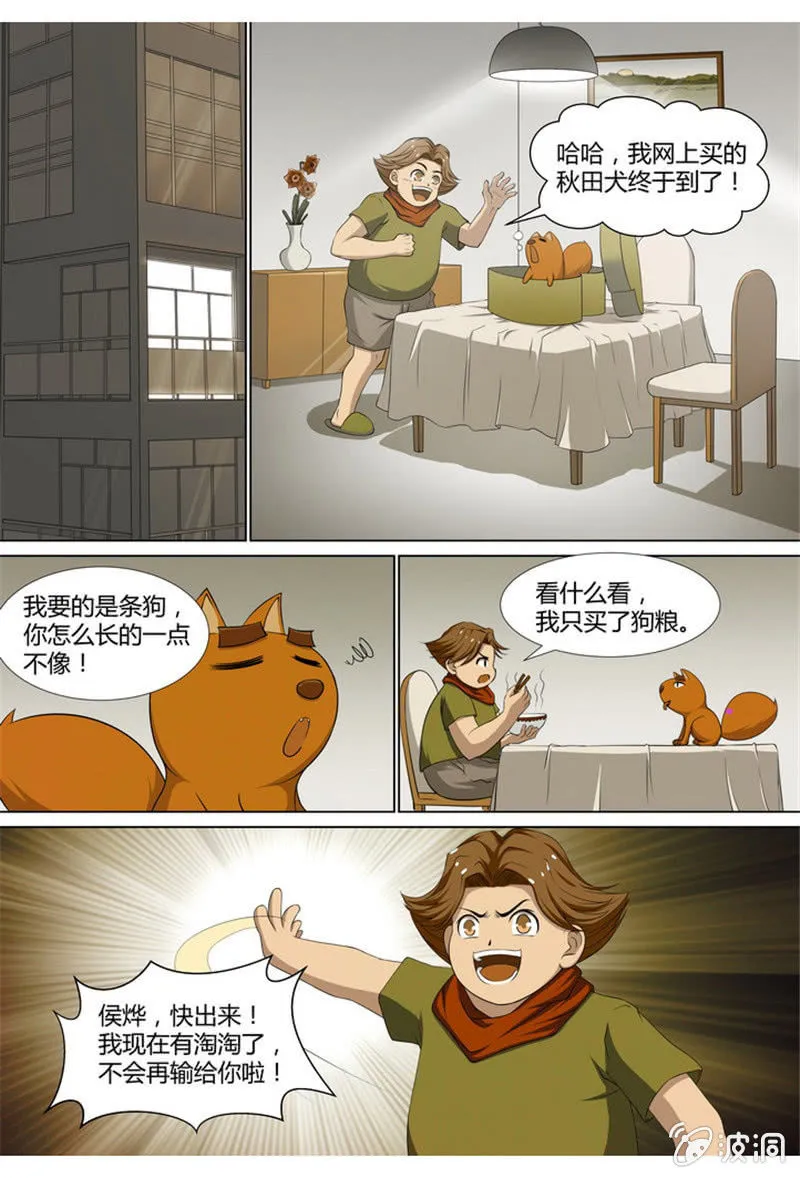 26 第3页